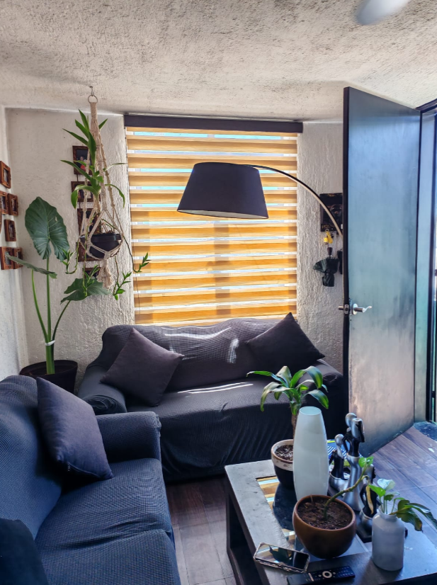 duplex1